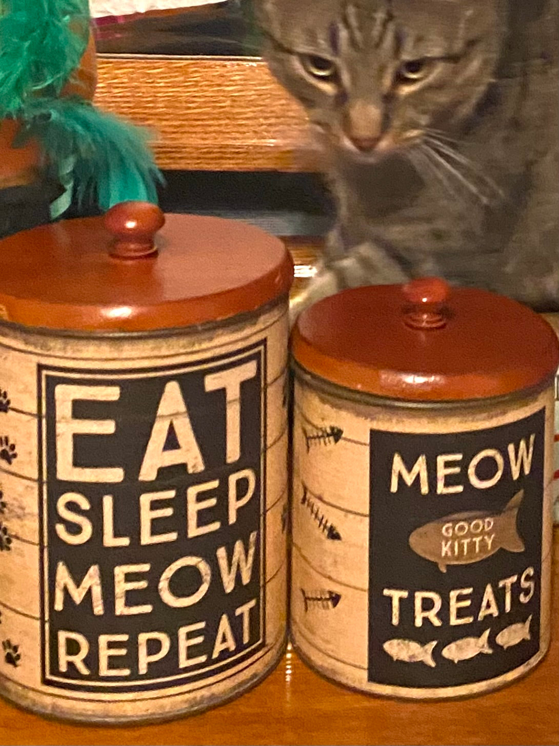 Eat Sleep Meow Repeat Cat Treat Canister Set – Rustic Farmhouse Pet Storage Decor