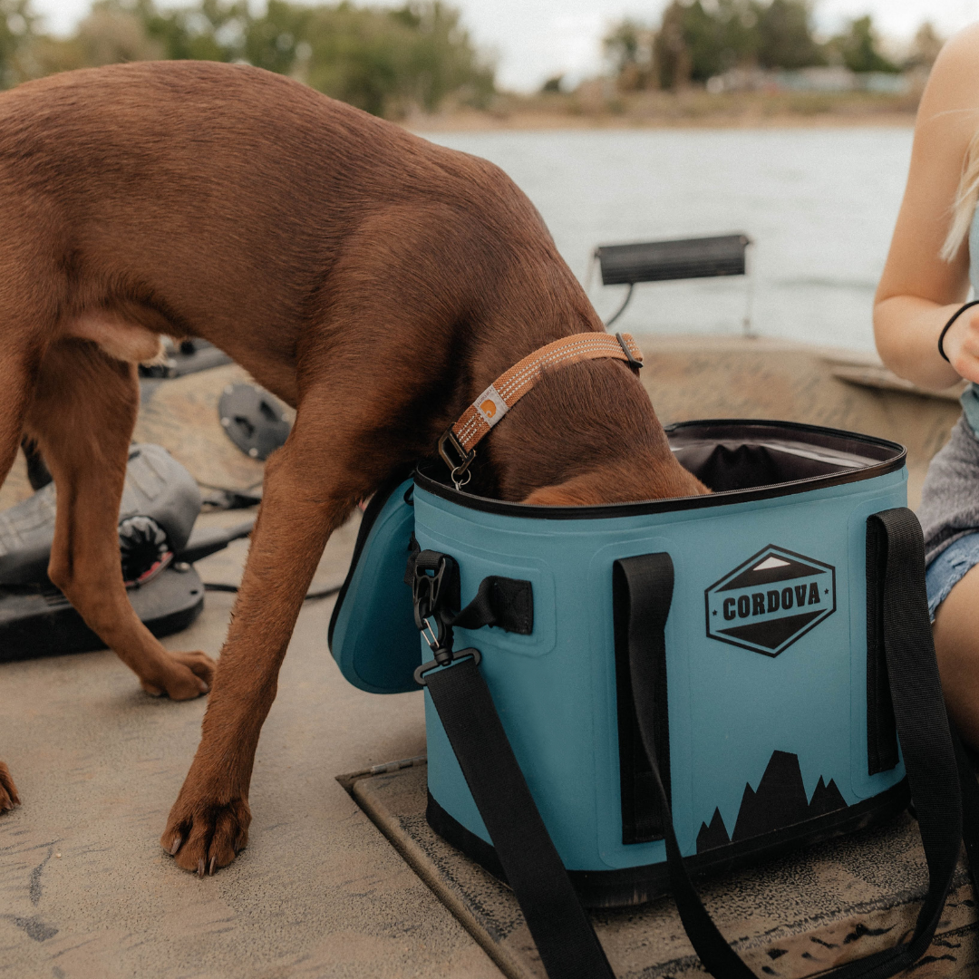 Backcountry Class™ Daypack Cooler Bag
