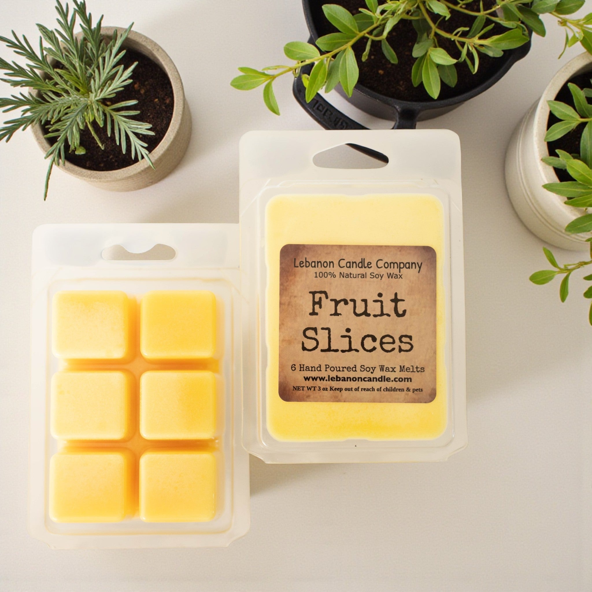 Fruit Slices Wax Melt