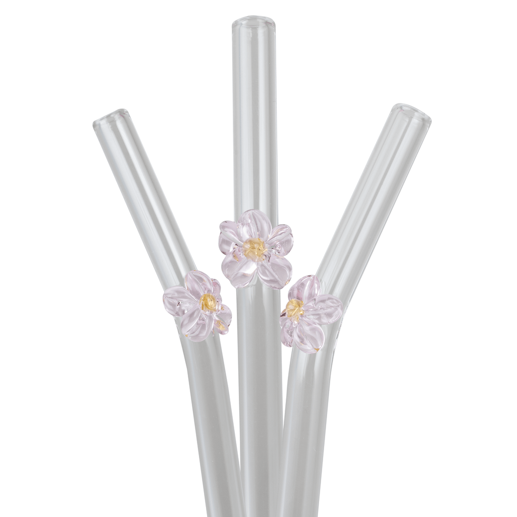 Spring Collection Glass Straws