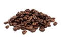 Fudge Brownie