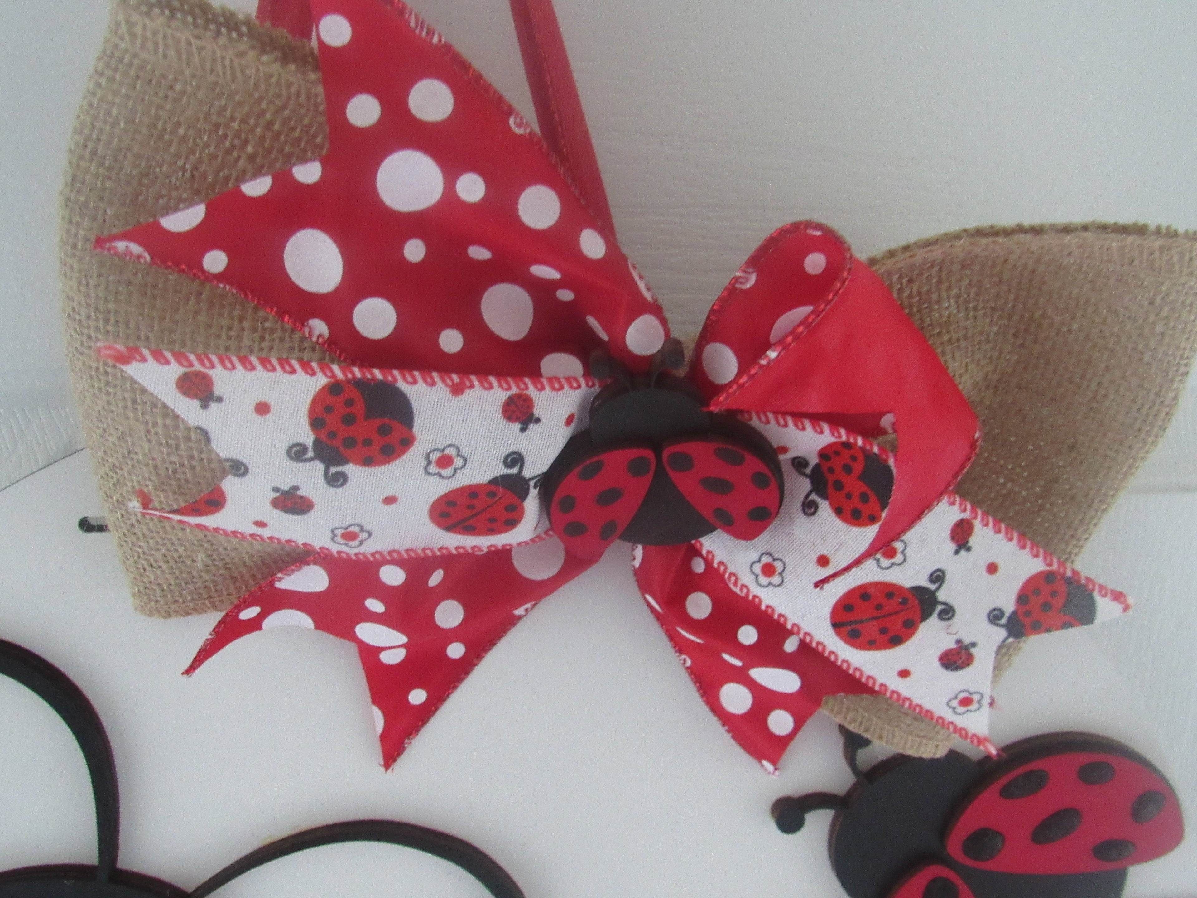 Ladybug Decor - Door Hanger Welcome Sign