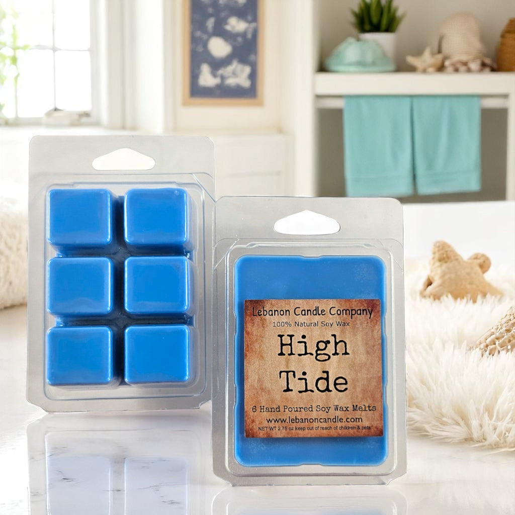 High Tide Wax Melt