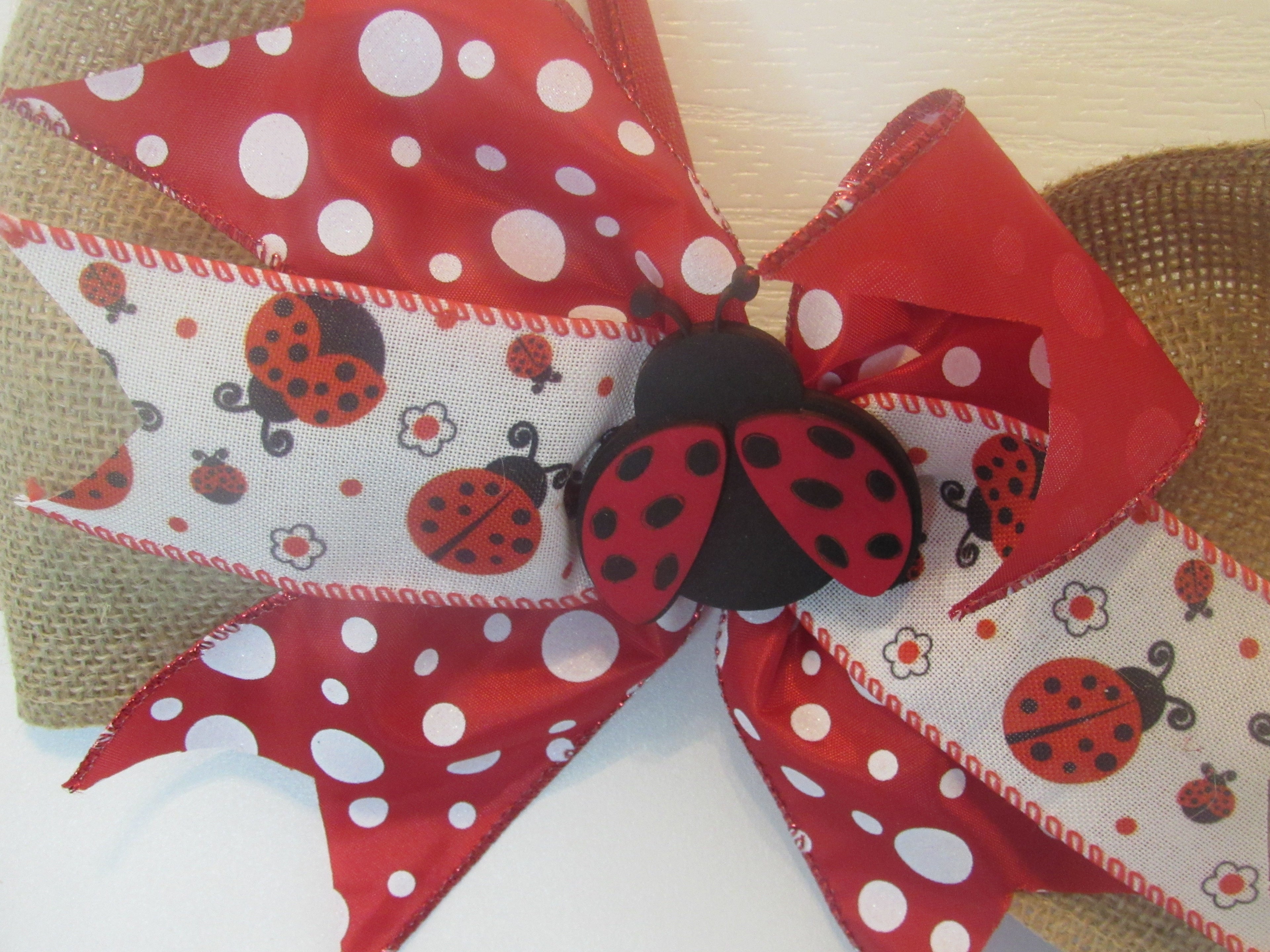 Ladybug Decor - Door Hanger Welcome Sign